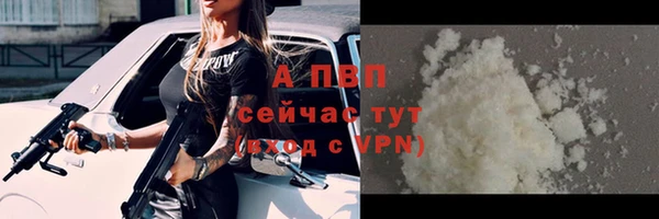ПСИЛОЦИБИНОВЫЕ ГРИБЫ Кулебаки