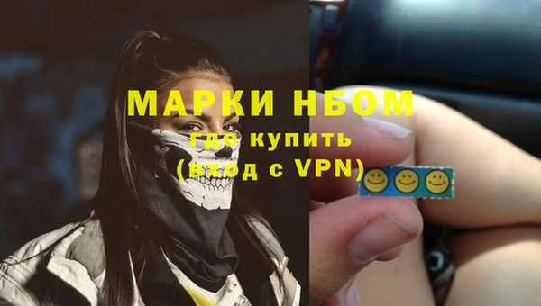 дживик Краснослободск