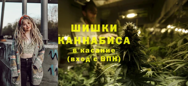 ПСИЛОЦИБИНОВЫЕ ГРИБЫ Кулебаки