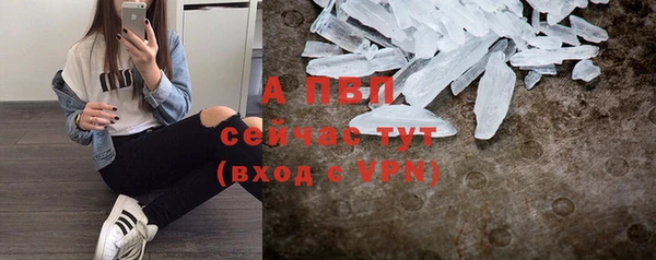 дживик Краснослободск