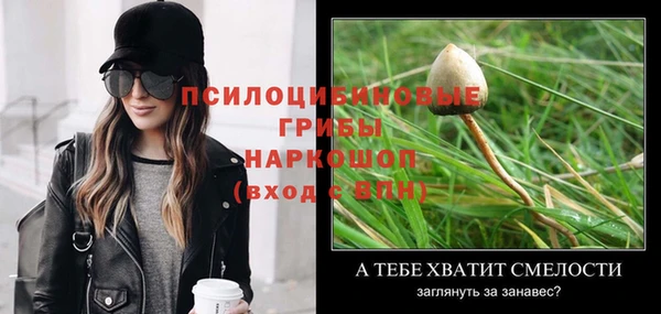 дживик Краснослободск