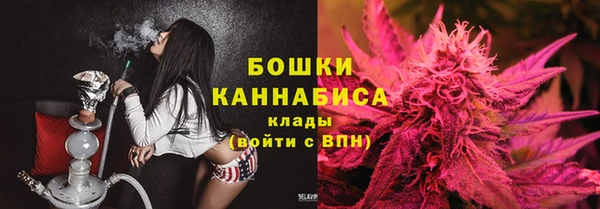 ПСИЛОЦИБИНОВЫЕ ГРИБЫ Кулебаки